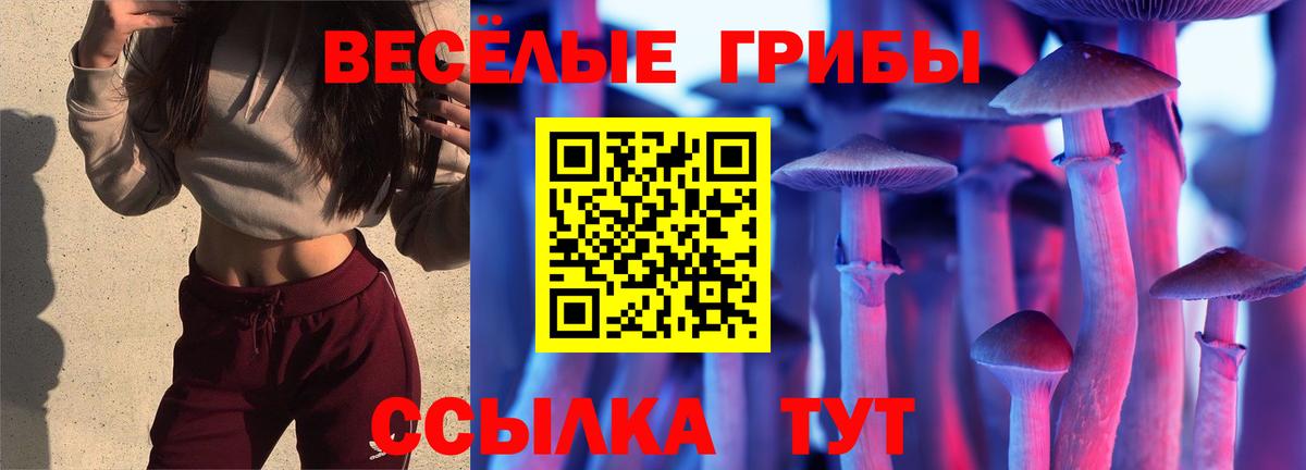 Анжеро-Судженск  Псилоцибиновые грибы MAGIC MUSHROOMS  Вход с VPN 